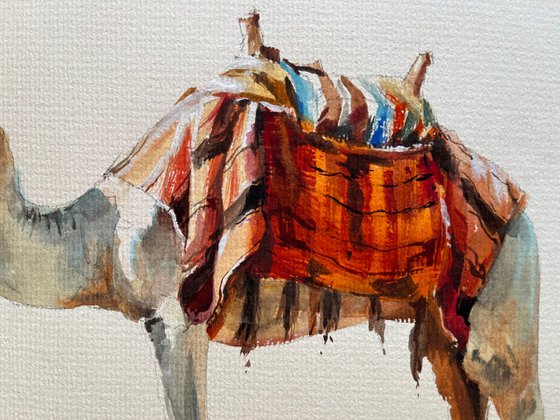 "Ship of the Desert"