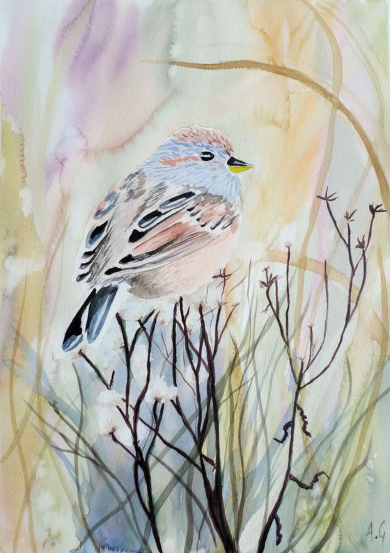 Bird