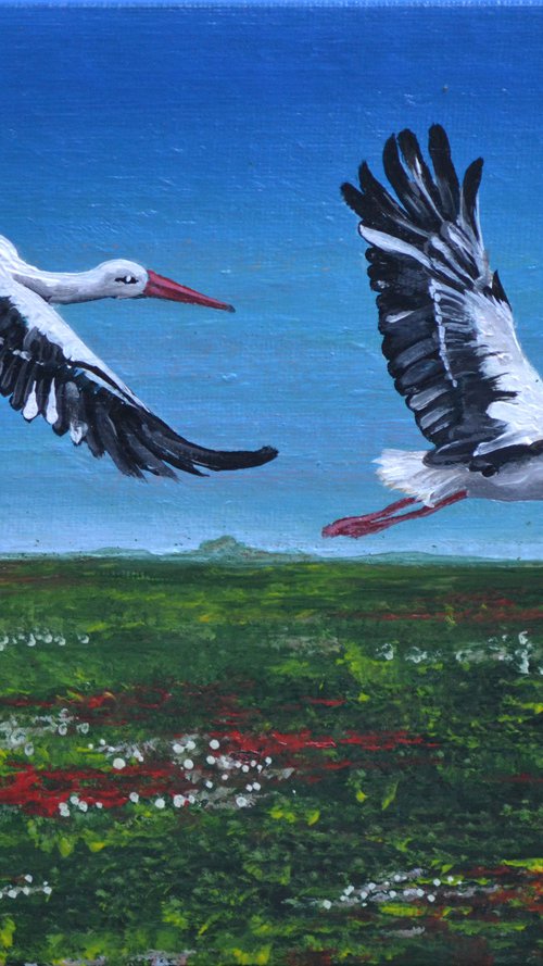 Storks in flight by Maja Tulimowska - Chmielewska