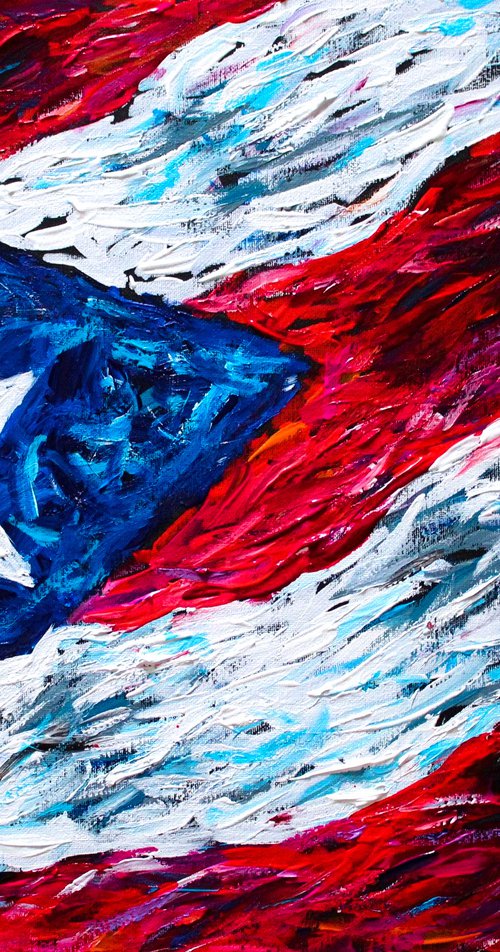 Puerto Rican Flag by Galina Victoria