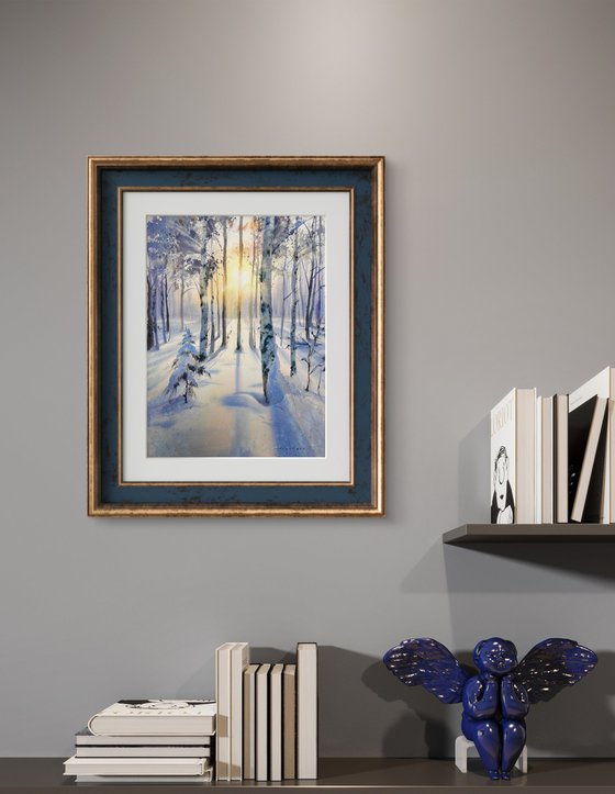 Birch grove in winter glow