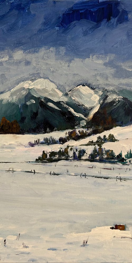 First Snow in the Valley by Mutlu Ertac