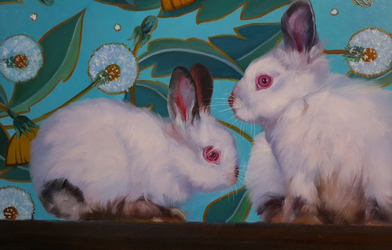 "Funny rabbits"