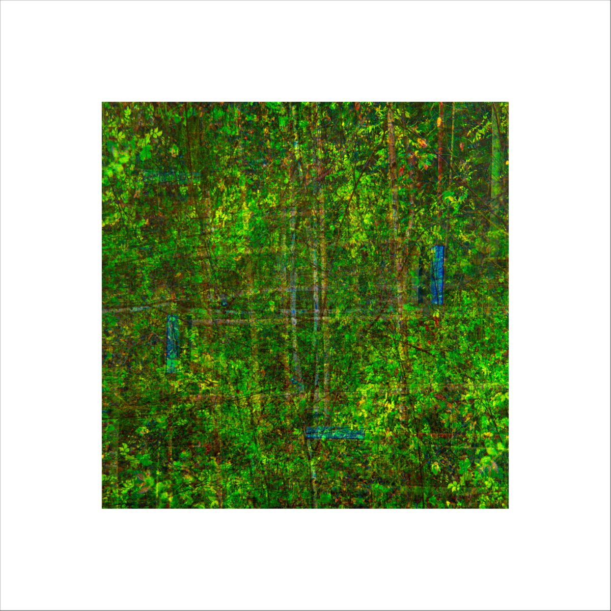 Abstract Landscape Photograph By Paul Harrison, 30 X 30", Signs #29, Original Artwork