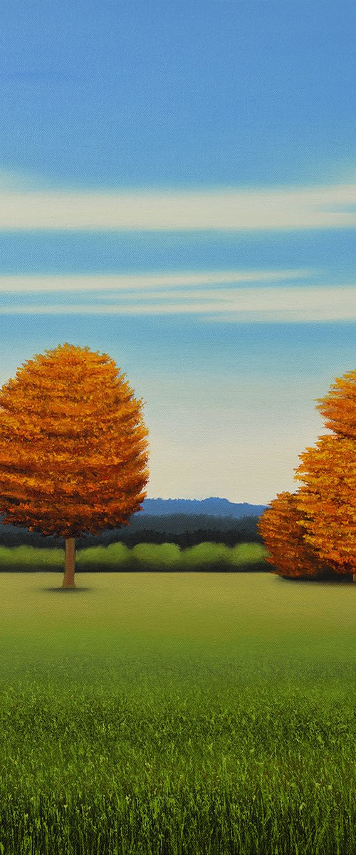 Autumn Gold and Red - Blue Sky by Suzanne Vaughan