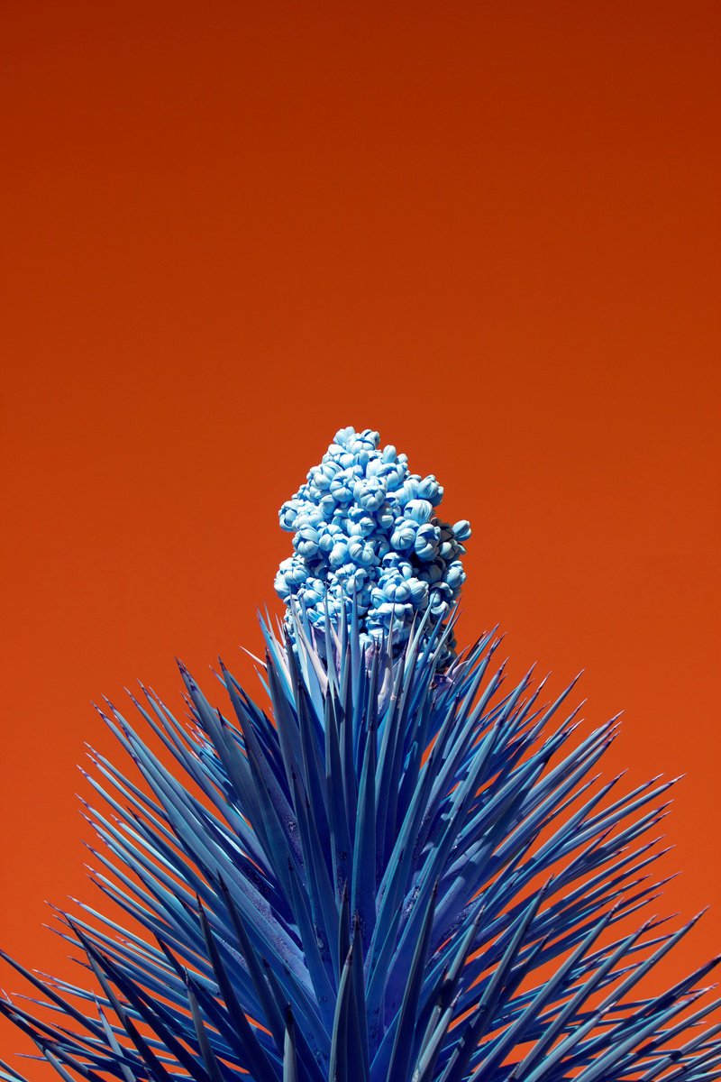 Photorealistic Photograph , Nothing Here Is Meant To Last By Mark Hannah, 16 X 20, Artwork For Sale On Artfinder