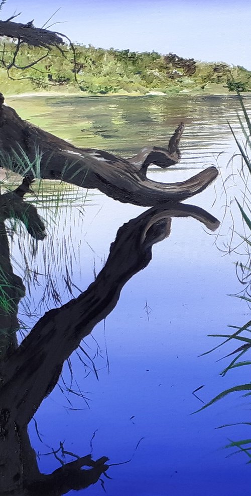 Tranquility by Cathal Gallagher