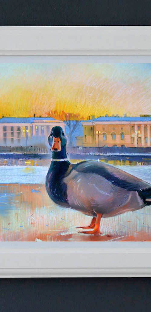 Duck is a city dweller by Alexandra Sergeeva