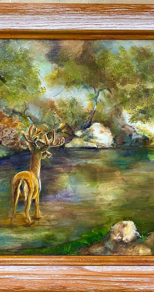 Ashtonishing In the Wild Original Oil Painting 12x16 by Mary Gullette