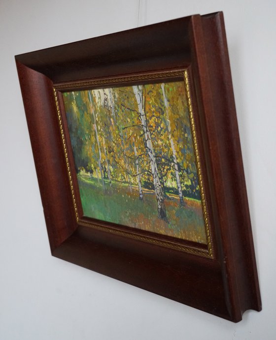 Birch trees at sunset in September