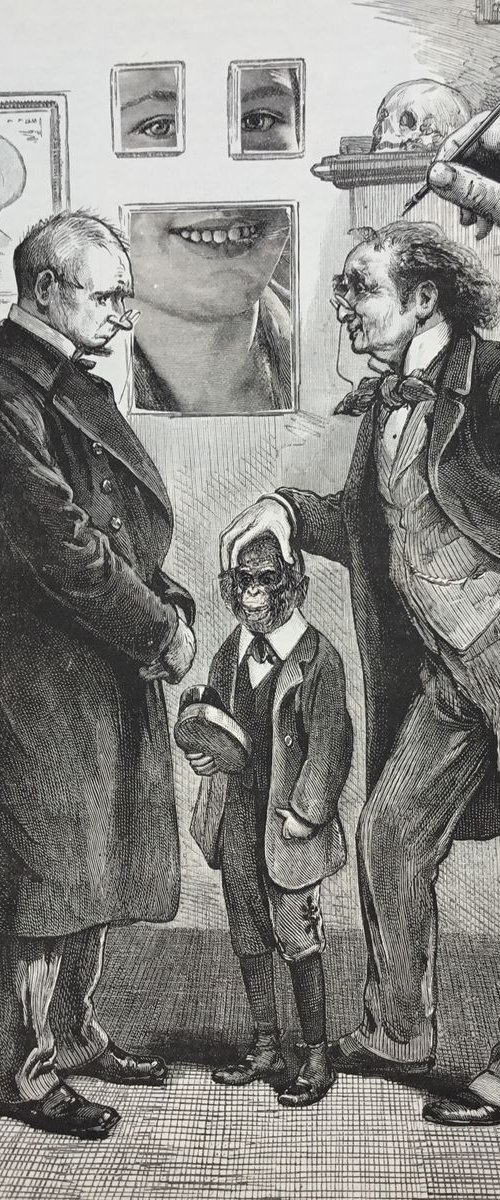 He was a great worry by Tudor Evans