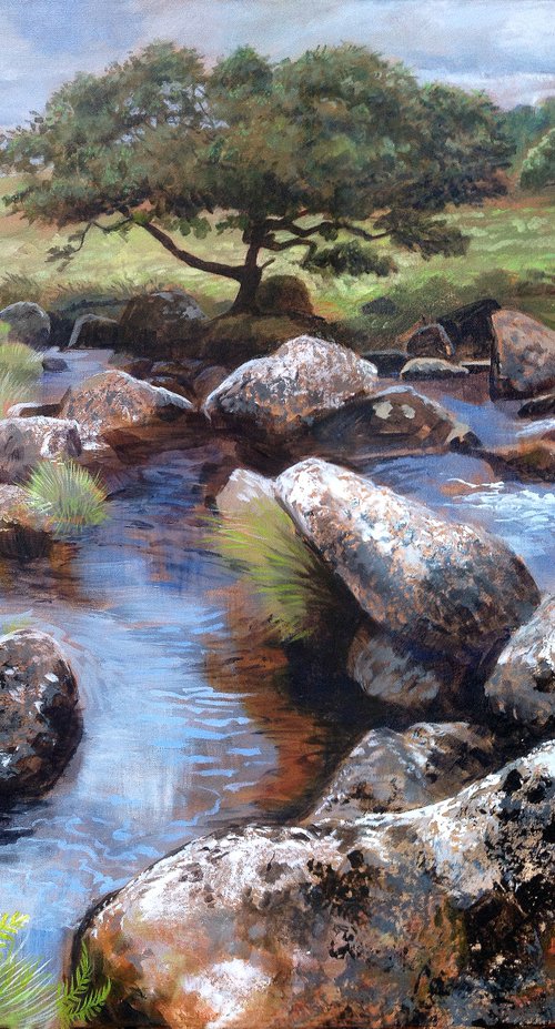 Blackator Woods, West Okement, Dartmoor by Daniel Loveday