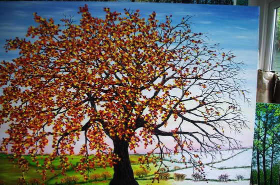 Oak tree in Autumn and Winter