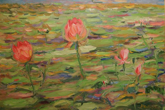 ROSE LOTUS - Landscape water lily pond, lilies, original painting, oil on canvas, interior home decor, 73x105