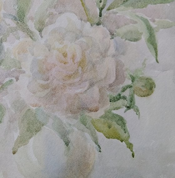 Peonies. Watercolour 2020