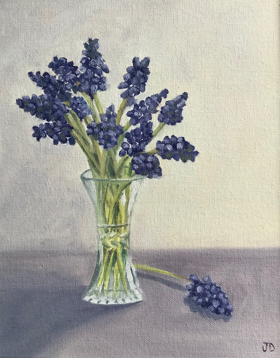 Grape Hyacinth in Oil by JANE DENTON