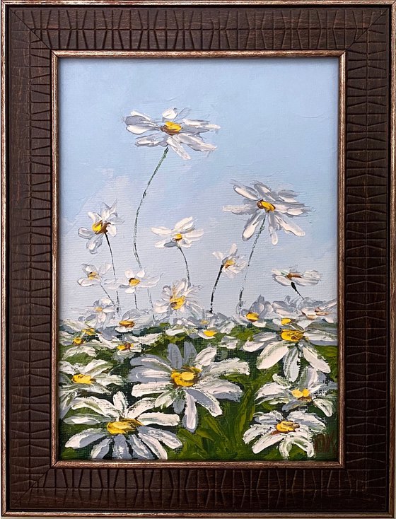 Delicate daisies