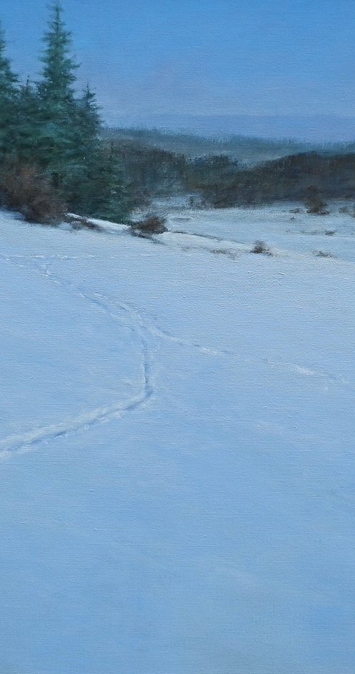 Snowlandscape by Gerard Kramer