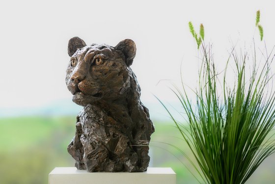 Leopard Portrait Foundry Bronze