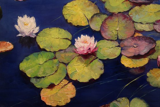 "Waterlilies in the Mirror of the Sky"