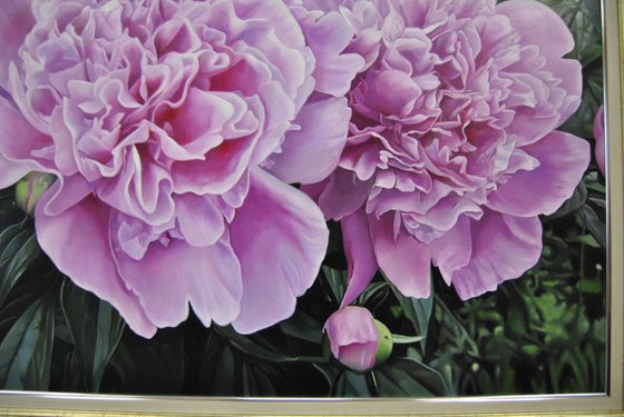 Peonies IV, Oil on Canvas Art