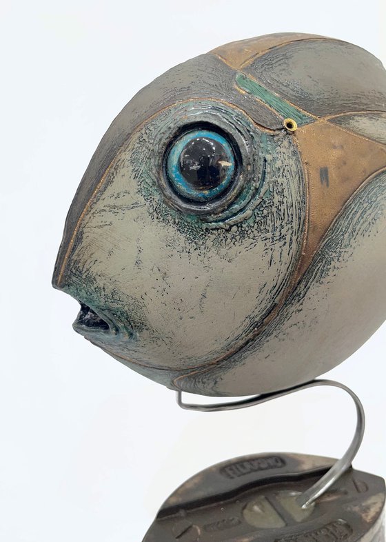 Elegance in Aqua Veil