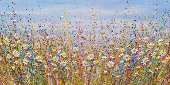 Summer Daisies - wildflower meadow painting