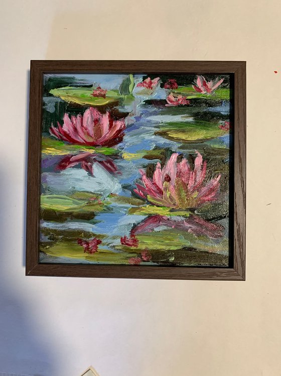 Pond with water lilies.