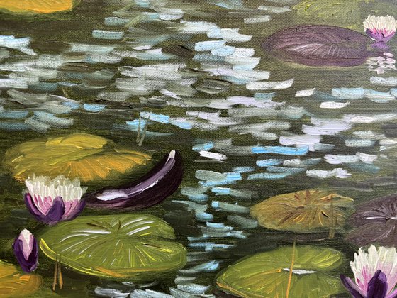 Water Lilies in the Sunlight