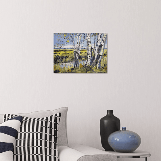 Birch stories