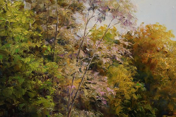 “Memory of a warm day”