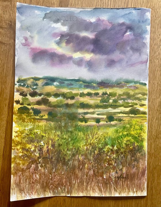 Somerset landscape