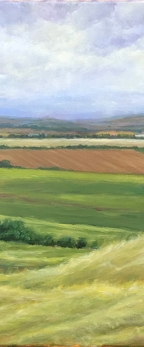Along The Cotswold Way by Ashley Baldwin-Smith