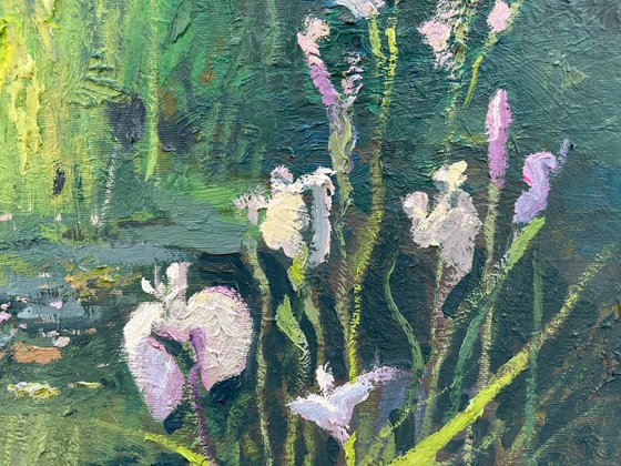 Water Lilies and Irises