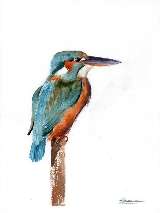 Kingfisher  -  Original Watercolor Painting by Olga Shefranov