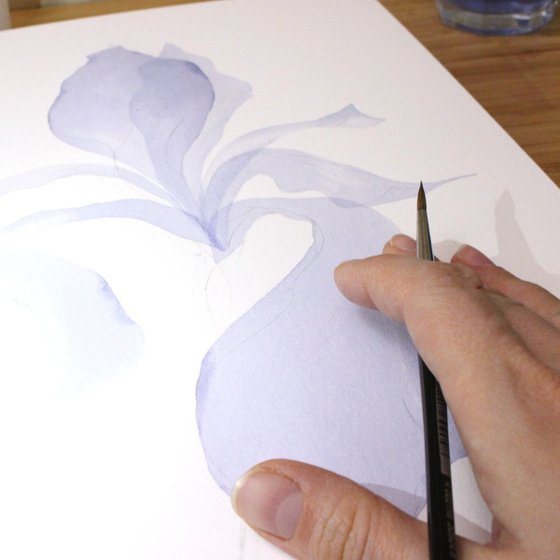 Transparent Iris