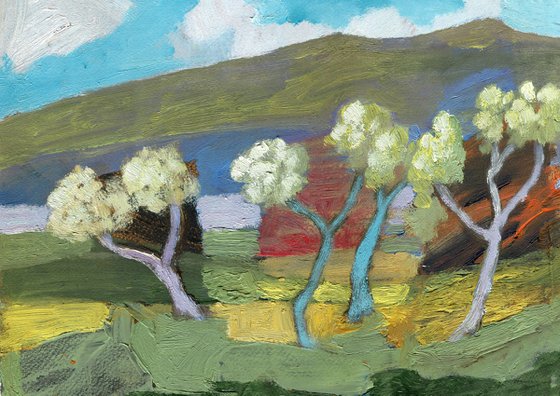 Malham Blossoms