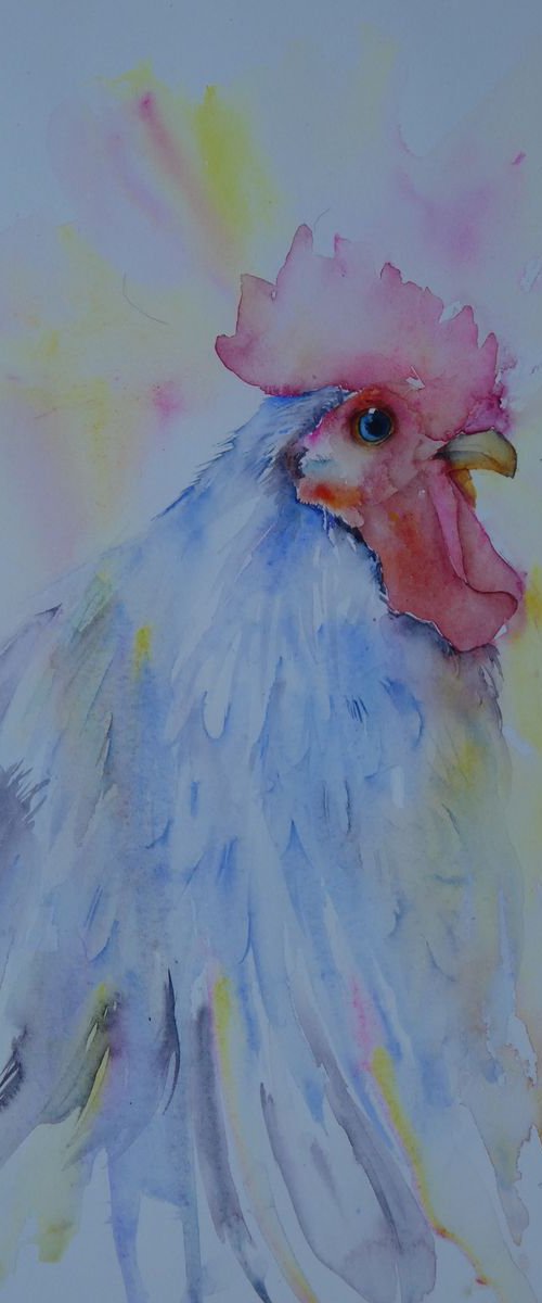 Chicken of Light by Seonaid Parnell