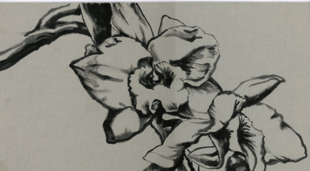 Expressive Botanical Ink Drawing By Alfred Ng, 14 X 8, Dendrobium Orchid In Ink, Original Artwork