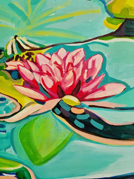 Water Lilies