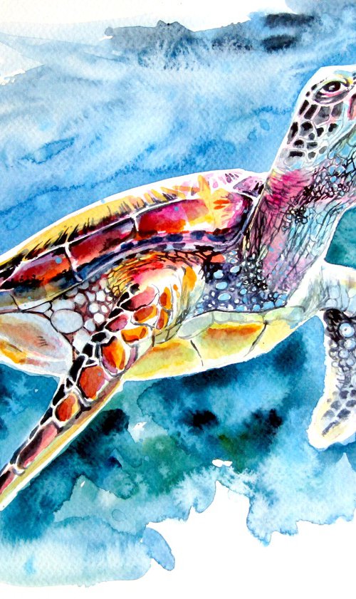Turtle by Kovács Anna Brigitta