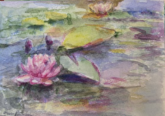 Lily 2