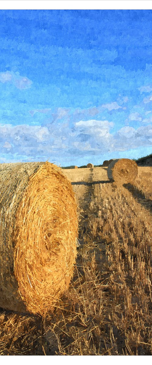 Summer Bales by David Lacey