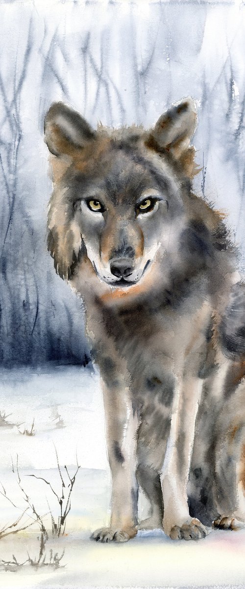 Winter Watcher by Olga Tchefranov (Shefranov)