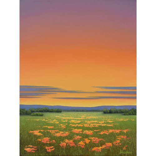 Orange Blooms - Colorful Flower Field Landscape by Suzanne Vaughan