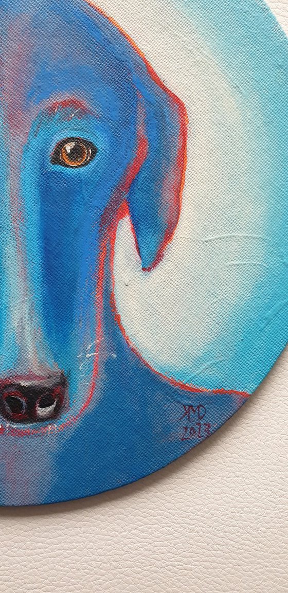 Blue galgo / Hope