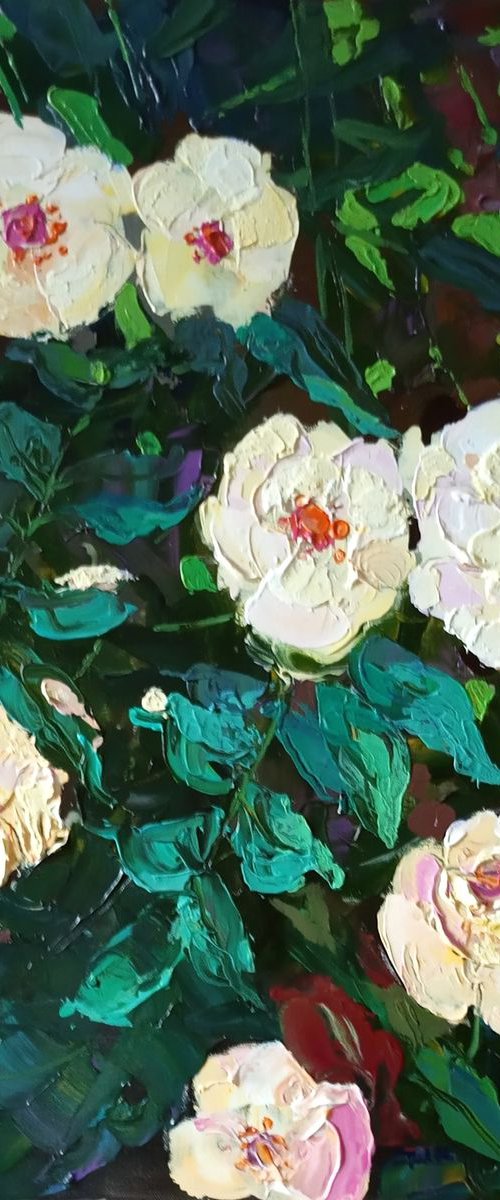 roses by Sergey  Kachin