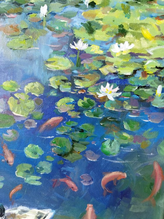 Water lily pond