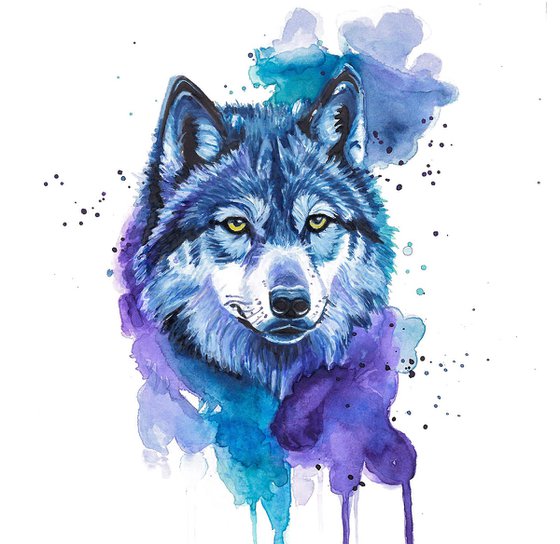 Colourful Wolf Painting