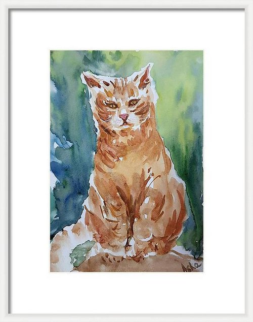 Ranga, the Orange cat by Asha Shenoy